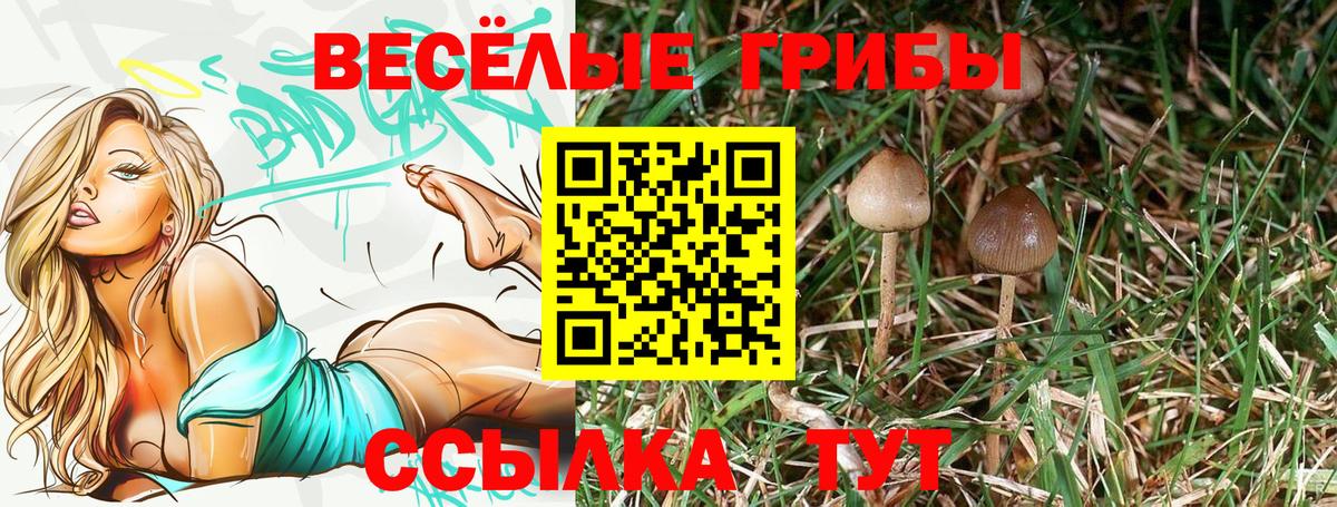 Галлюциногенные грибы Cubensis Кыштым