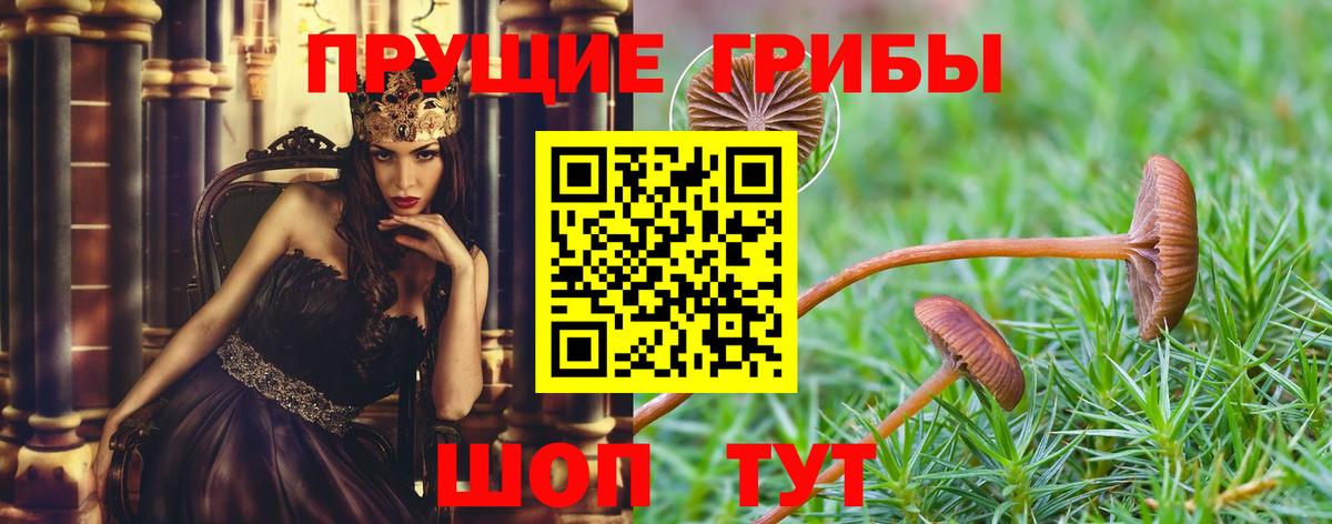 Псилоцибиновые грибы Magic Shrooms  купить  цена  Псилоцибиновые грибы прущие грибы  Кыштым 