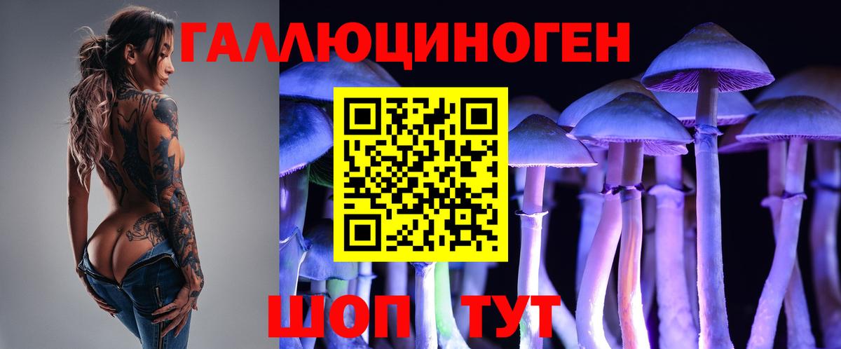 Галлюциногенные грибы прущие грибы  Псилоцибиновые грибы MAGIC MUSHROOMS  Кыштым  Вход с VPN 